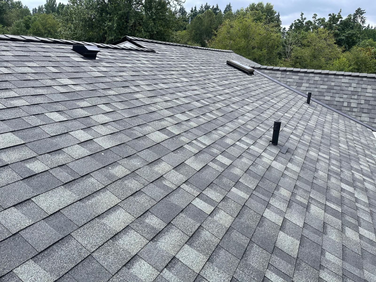 Completed architectural shingle roof spanning a full roof plane on a home in the Greater Eastside, WA