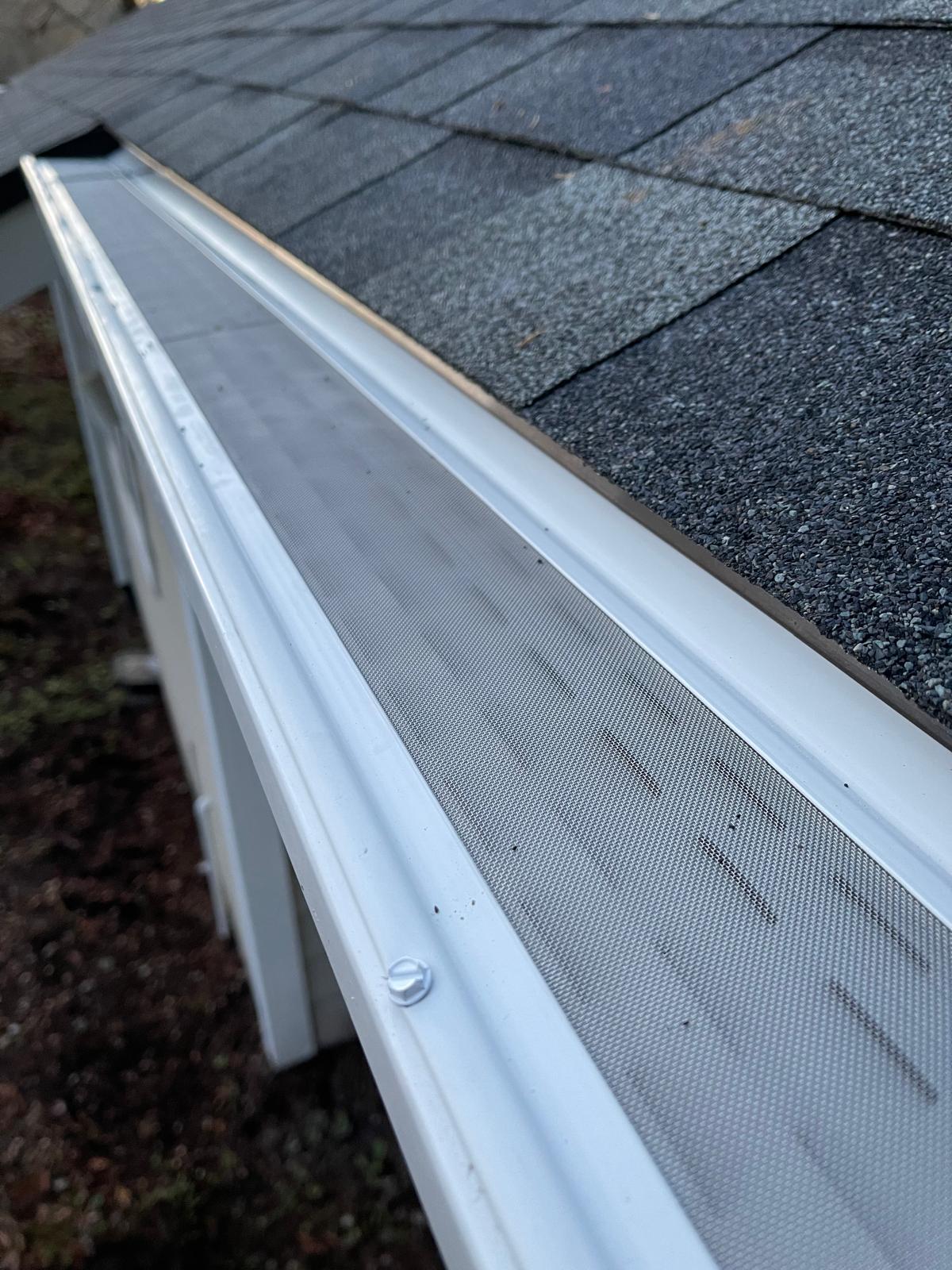 Seamless white gutter with fine-mesh guard installed along a shingle roof edge in the Greater Eastside, WA
